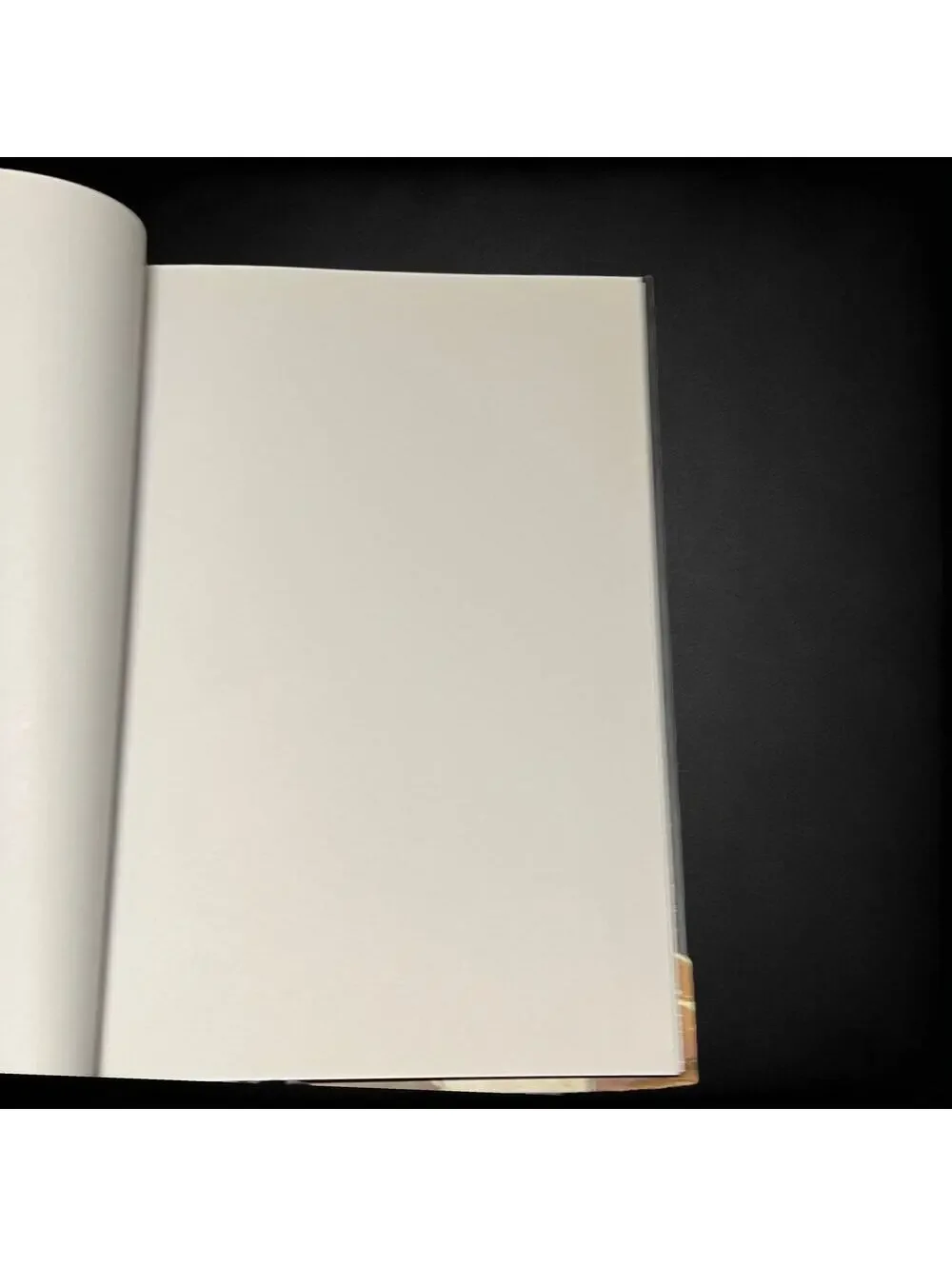 Apuntes de Colores Spanish Hardcover Play Attitude 2011 Sketchbook Journal Art